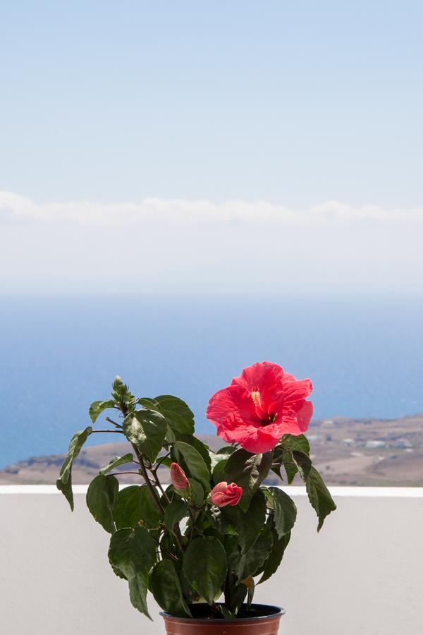 Luna Rossa Santorini Имеровигли Экстерьер фото